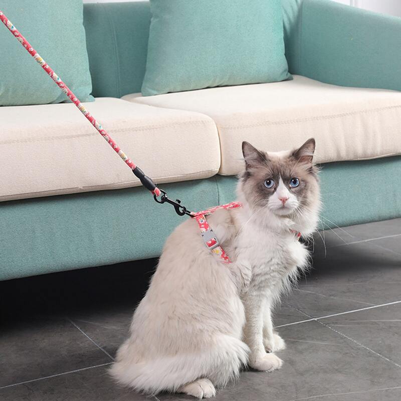

1pc Floral Cat Harness & 1pc Cat Leash, Pink