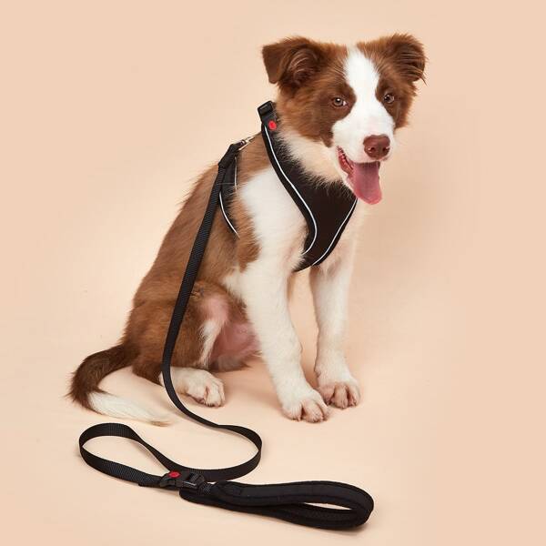 

1pc Simple Dog Harness & 1pc Dog Leash, Black