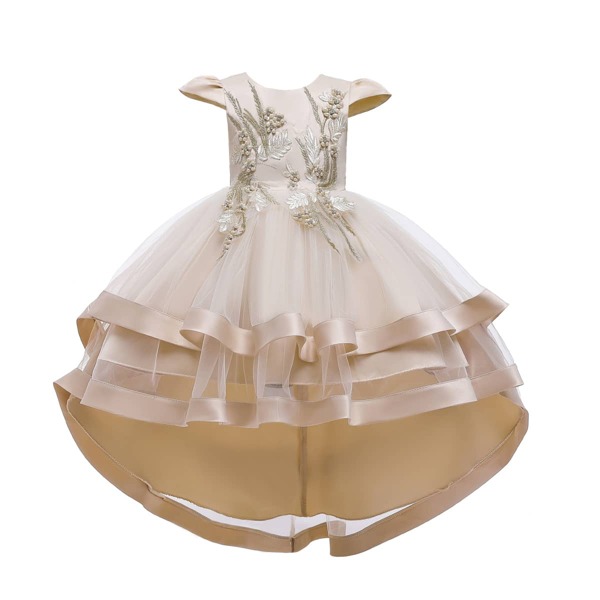

Girls Appliques Mesh Panel Layered Gown Dress, Beige