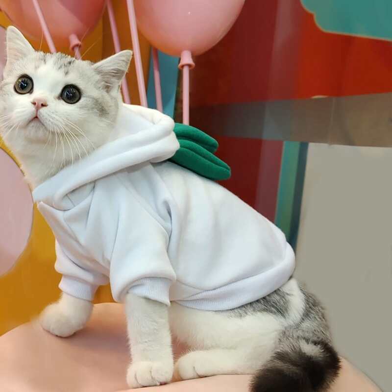 

3D Ear Design Cat Hoodie, White