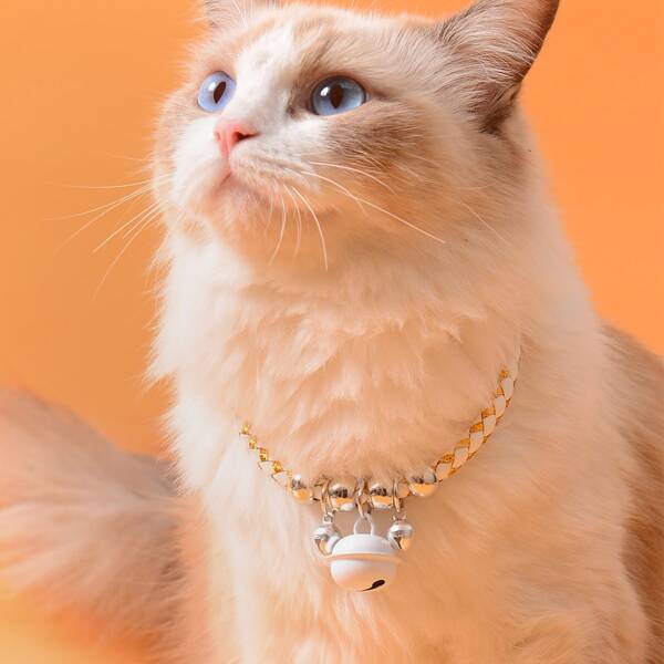 

Bell Decor Braided Cat Necklace, White