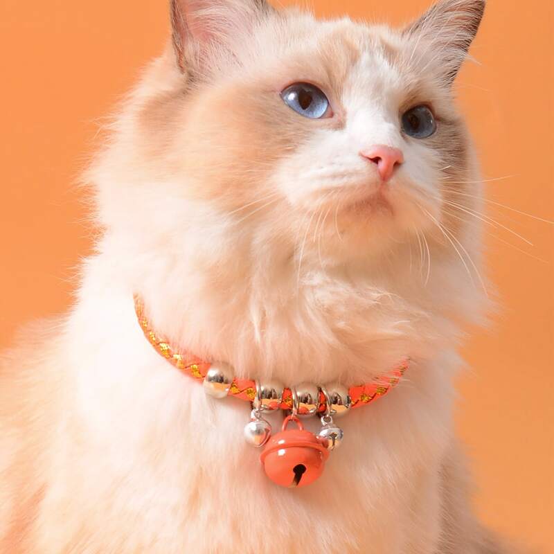 

Bell Decor Braided Cat Necklace, Orange