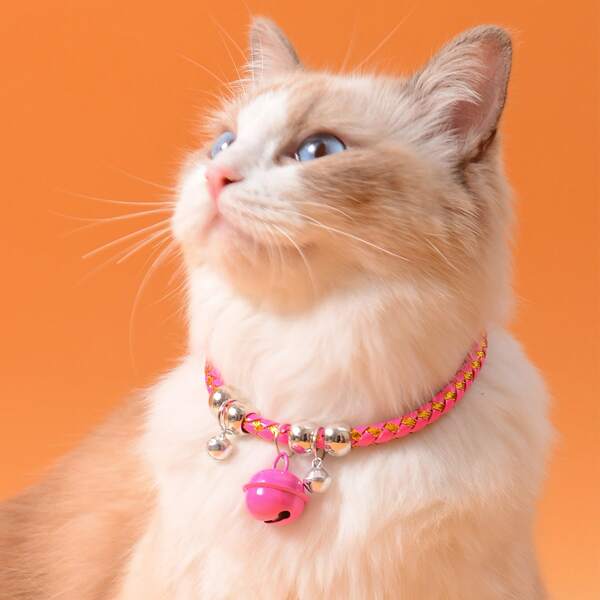 

Bell Decor Braided Cat Necklace, Hot pink
