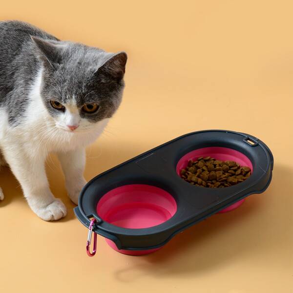 

Collapsible Two Tone Silicone Cat Bowl, Hot pink