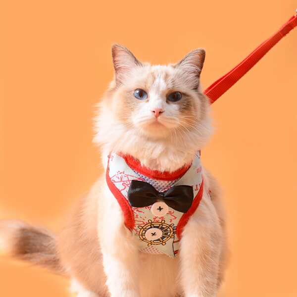 

1pc Bow Decor Cat Harness & 1pc Cat Leash, Multicolor