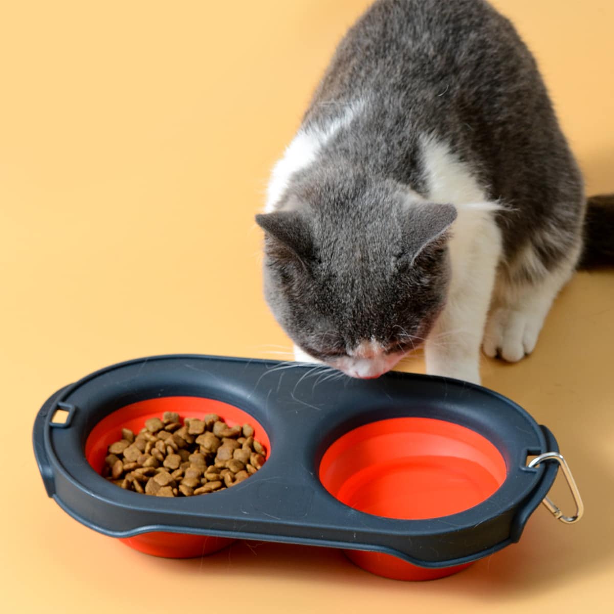 

Collapsible Two Tone Silicone Cat Bowl, Red