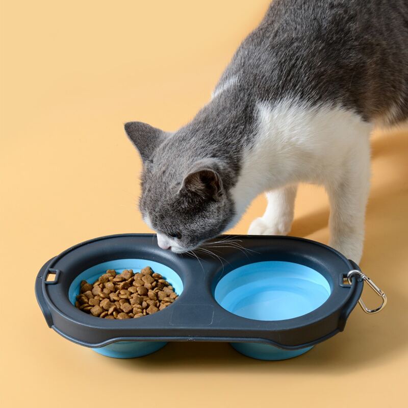 

Collapsible Two Tone Silicone Cat Bowl, Blue