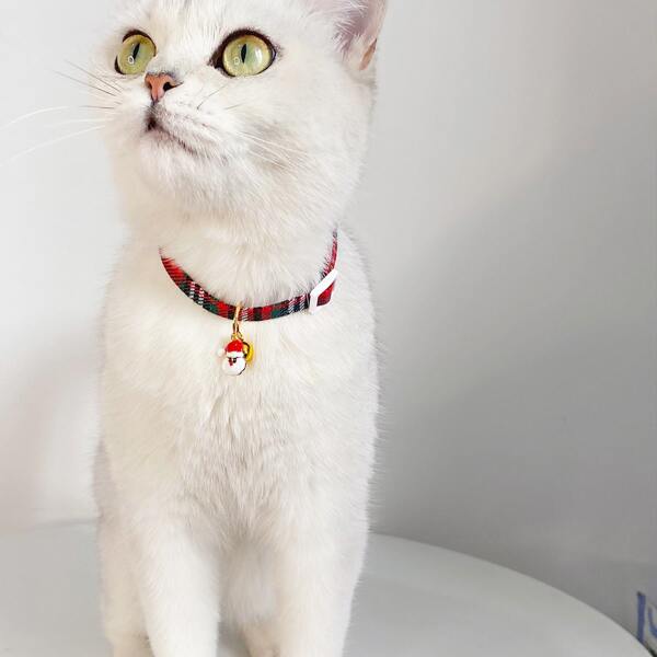 

Christmas Santa Pendant Plaid Cat Necklace, Multicolor