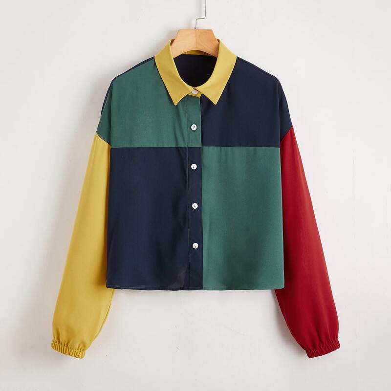 

Colorblock Button Front Oversized Blouse, Multicolor