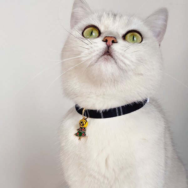 

Christmas Tree Pendant Plaid Cat Necklace, Multicolor