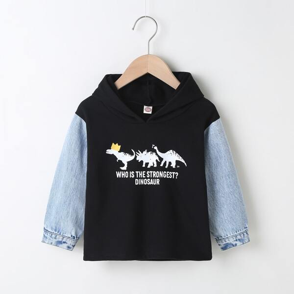 

Toddler Boys Contrast Sleeve Dinosaur & Slogan Graphic Hoodie, Black