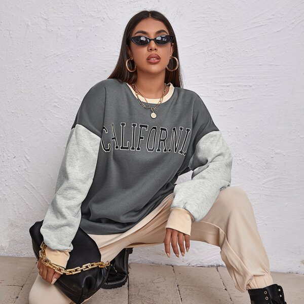

Drop Shoulder Letter Graphic Colorblock Sweatshirt, Dark grey