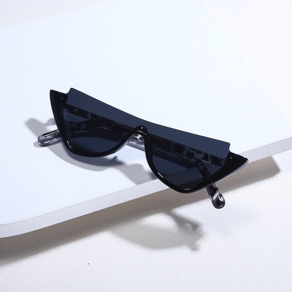 

Tinted Lens Sunglasses