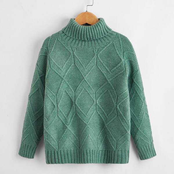 

Boys High Neck Drop Shoulder Solid Sweater, Mint green