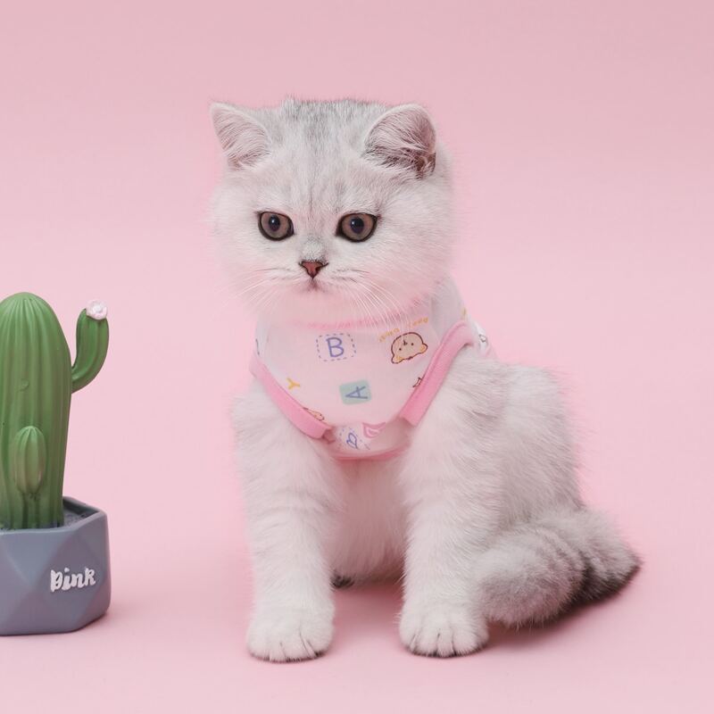 

Cartoon Graphic Cat Tank, Pink