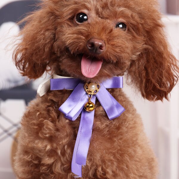 

1pc Bow Decor Dog Collar, Purple