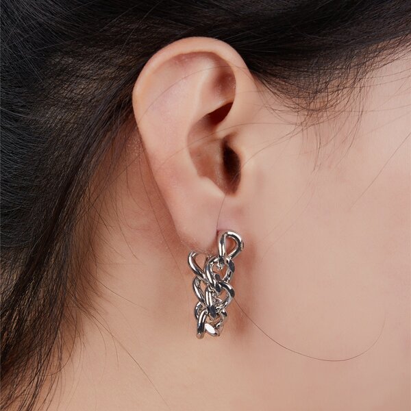 

Chain Design Earrings, Silver