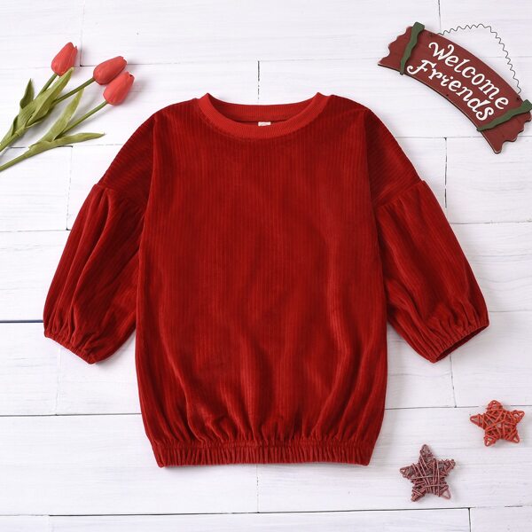 

Toddler Girls Velvet Bishop Sleeve Sweatshirt Dress, Burgundy