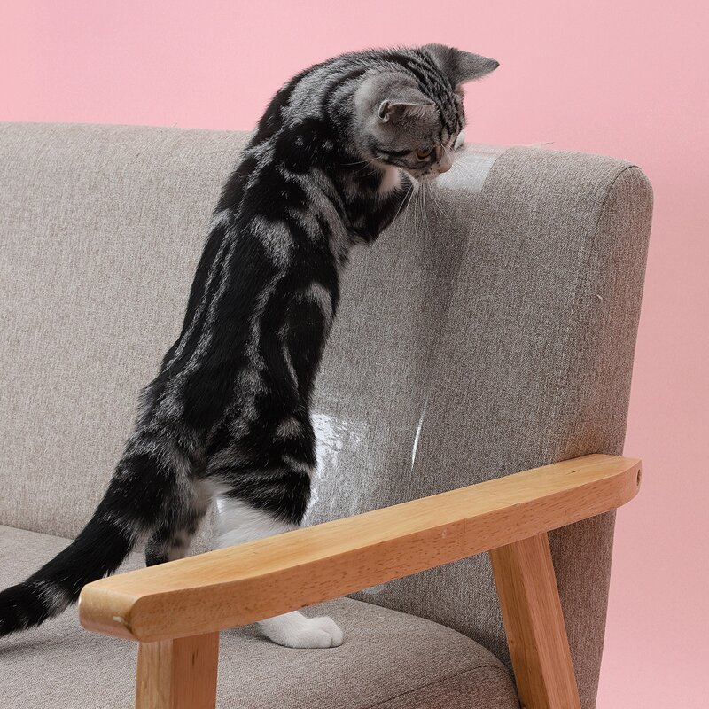

1pc Sofa Cat Anti-scratch Sticker & 10pcs Pushpin, White