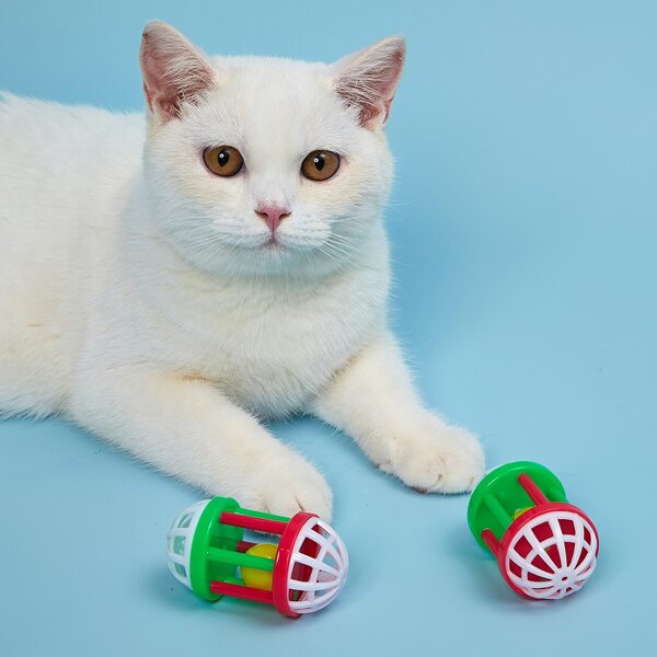 

Одноцветный Игрушки Для Кошек, Многоцветный
