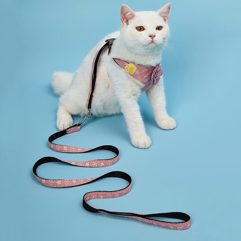 

1pc Flower Decor Cat Harness & 1pc Leash, Multicolor