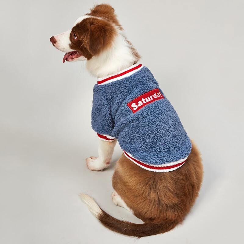 

Striped Trim Embroidered Letter Teddy Dog Top, Blue