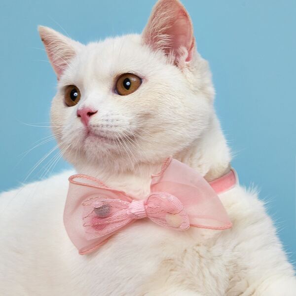 

1pc Pom-pom Decor Cat Bow Tie, Pink