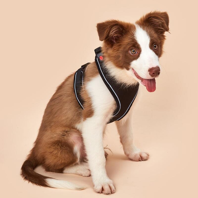 

1pc Contrast Binding Dog Harness, Black