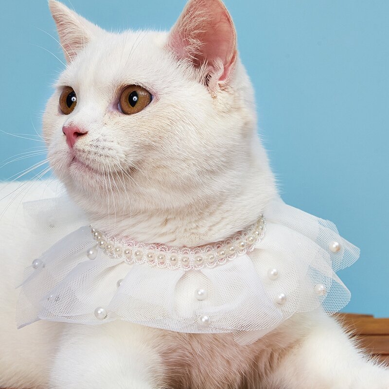 

1pc Faux Pearl Decor Mesh Cat Bandana, White