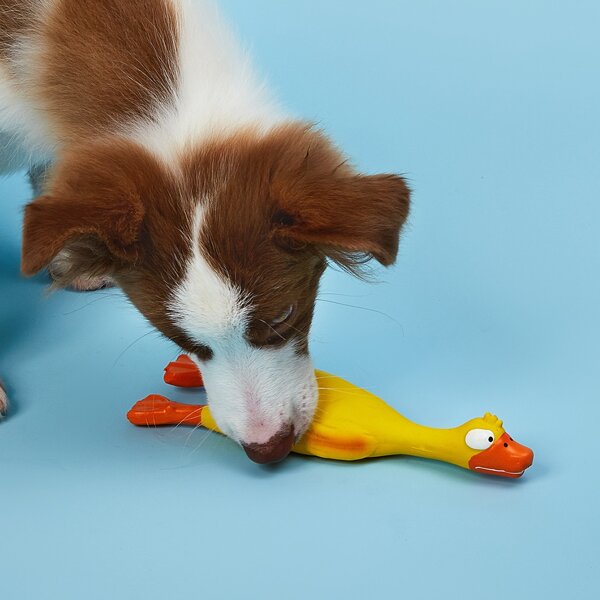 

1pc Duck Shaped Dog Sound Toy, Yellow