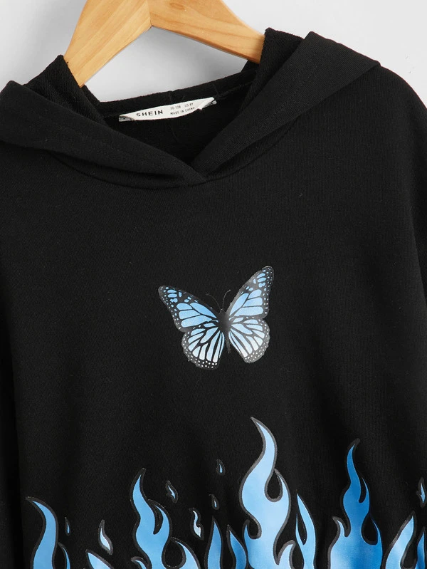 pull papillon