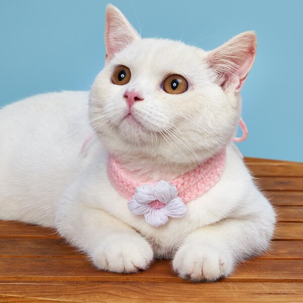 

1pc Cute Flower Decor Knit Cat Necklace, Pink