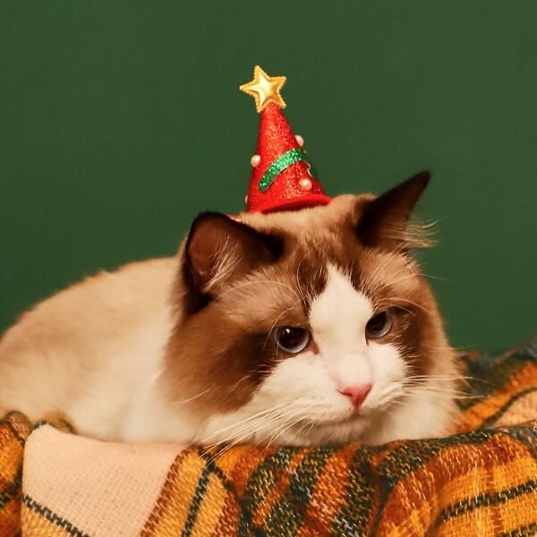 

1pc Random Christmas Hat Decor Cat Hair Clip, Multicolor