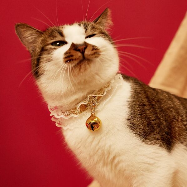 

Christmas Snowflake Decor Cat Collar, Yellow