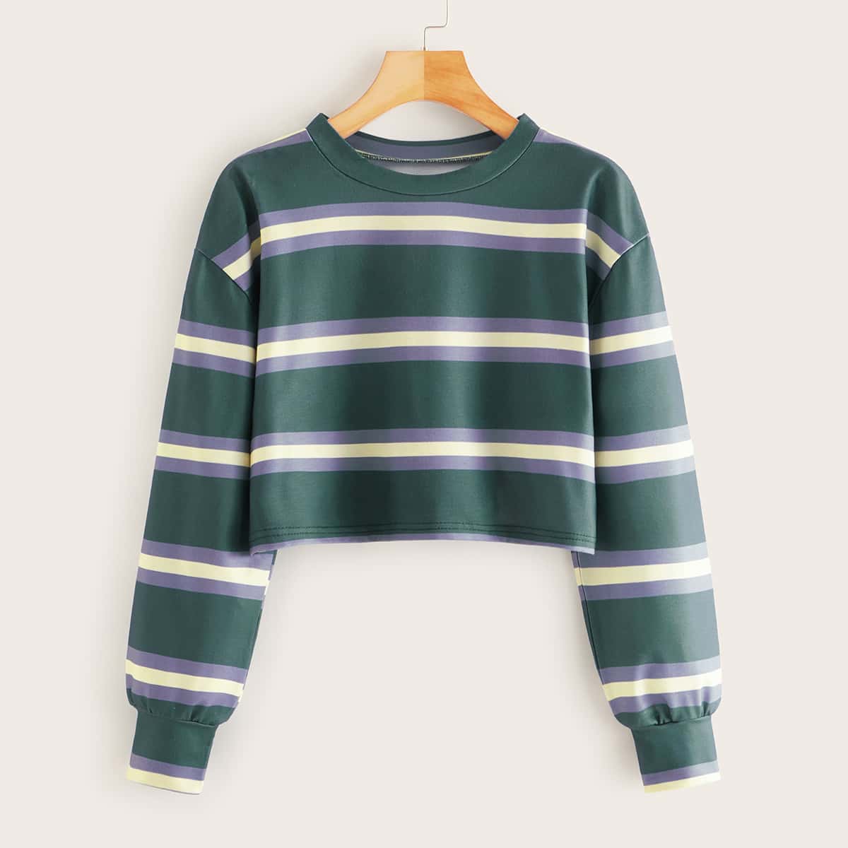 

Striped Crop Sweatshirt, Multicolor