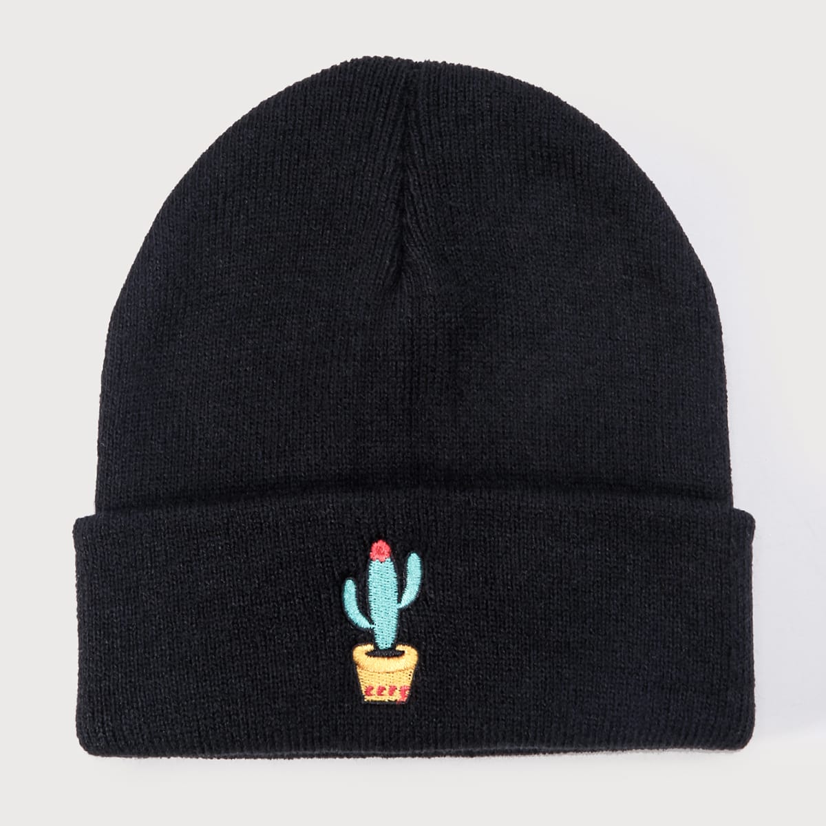 Image of Cactus Embroidery Beanie