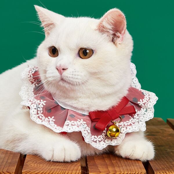 

Polka Dot Cat Bandana, Red