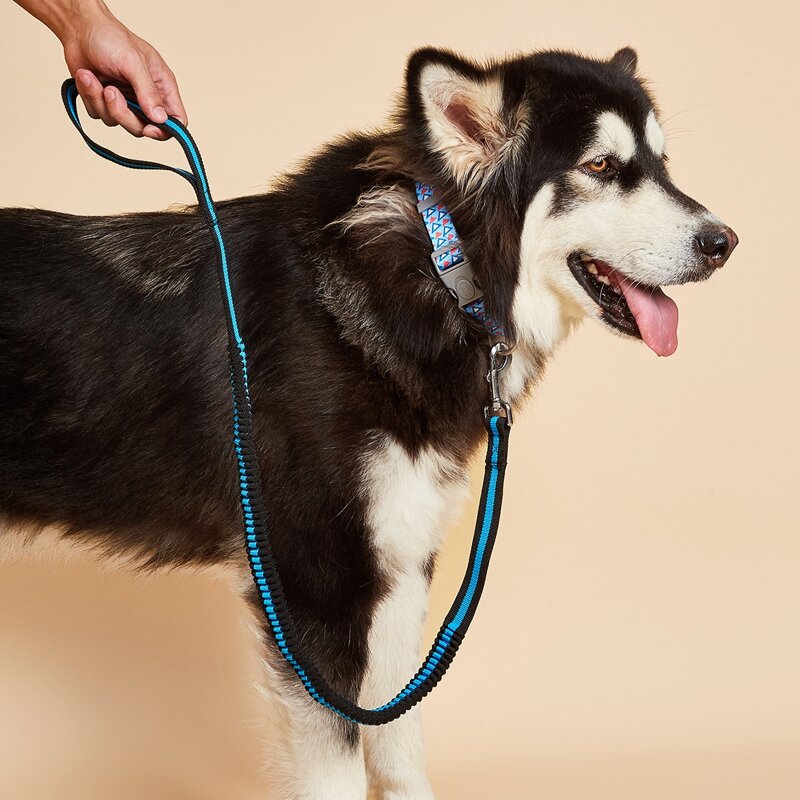 

1pc Colorblock Elastic Dog Leash, Blue