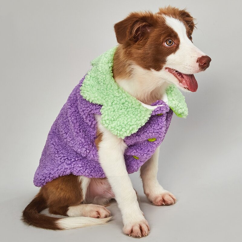 

Eggplant Design Dog Jacket, Purple