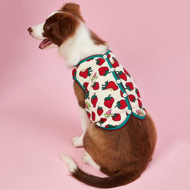 

Strawberry Print Dog Jacket, Multicolor