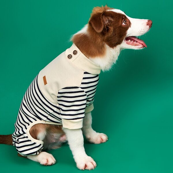 

Striped Dog Jumpsuit, Multicolor