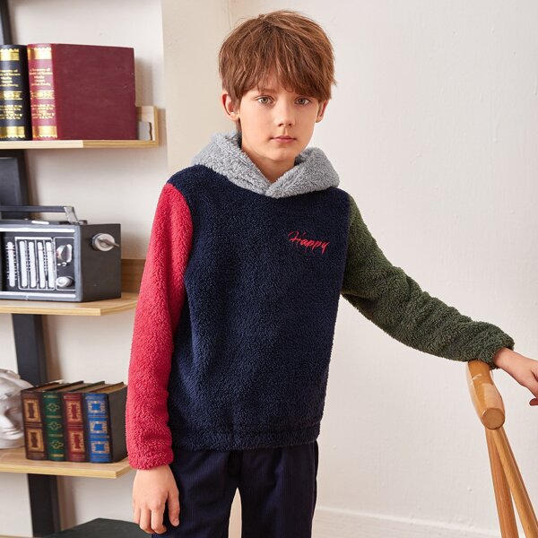 

Boys Letter Embroidery Colorblock Teddy Hoodie, Multicolor
