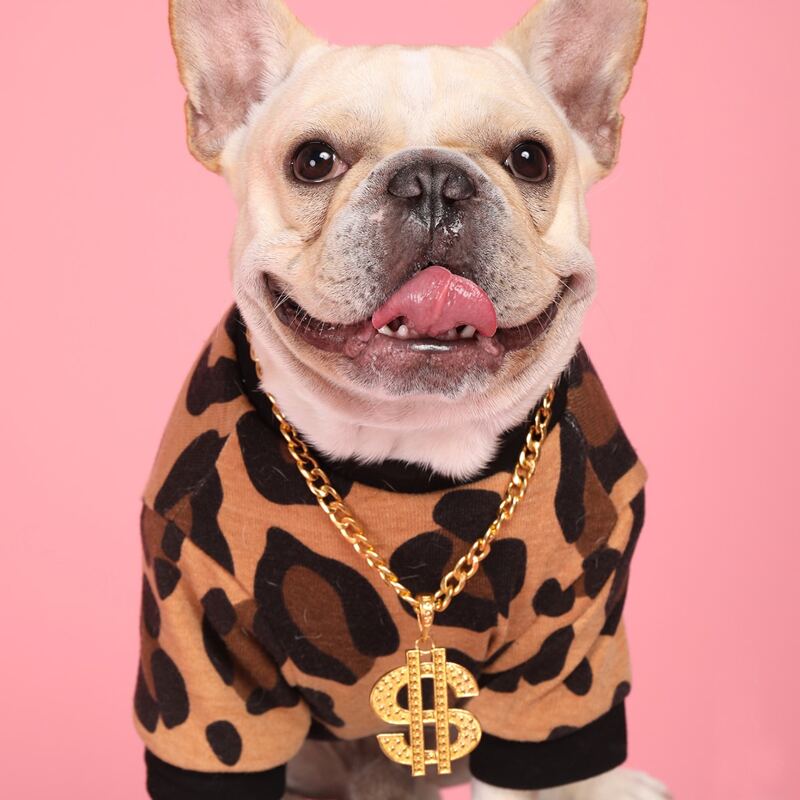 

Dog Pendant Chain Necklace, Gold