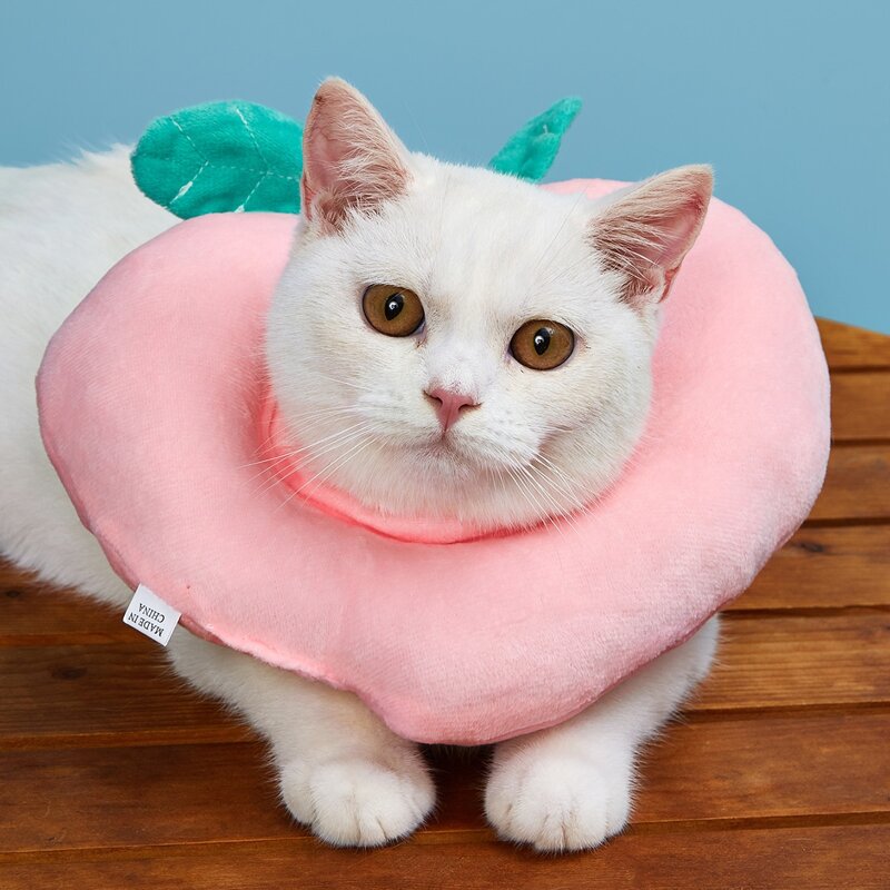 

Peach Design Cat Collar, Pink