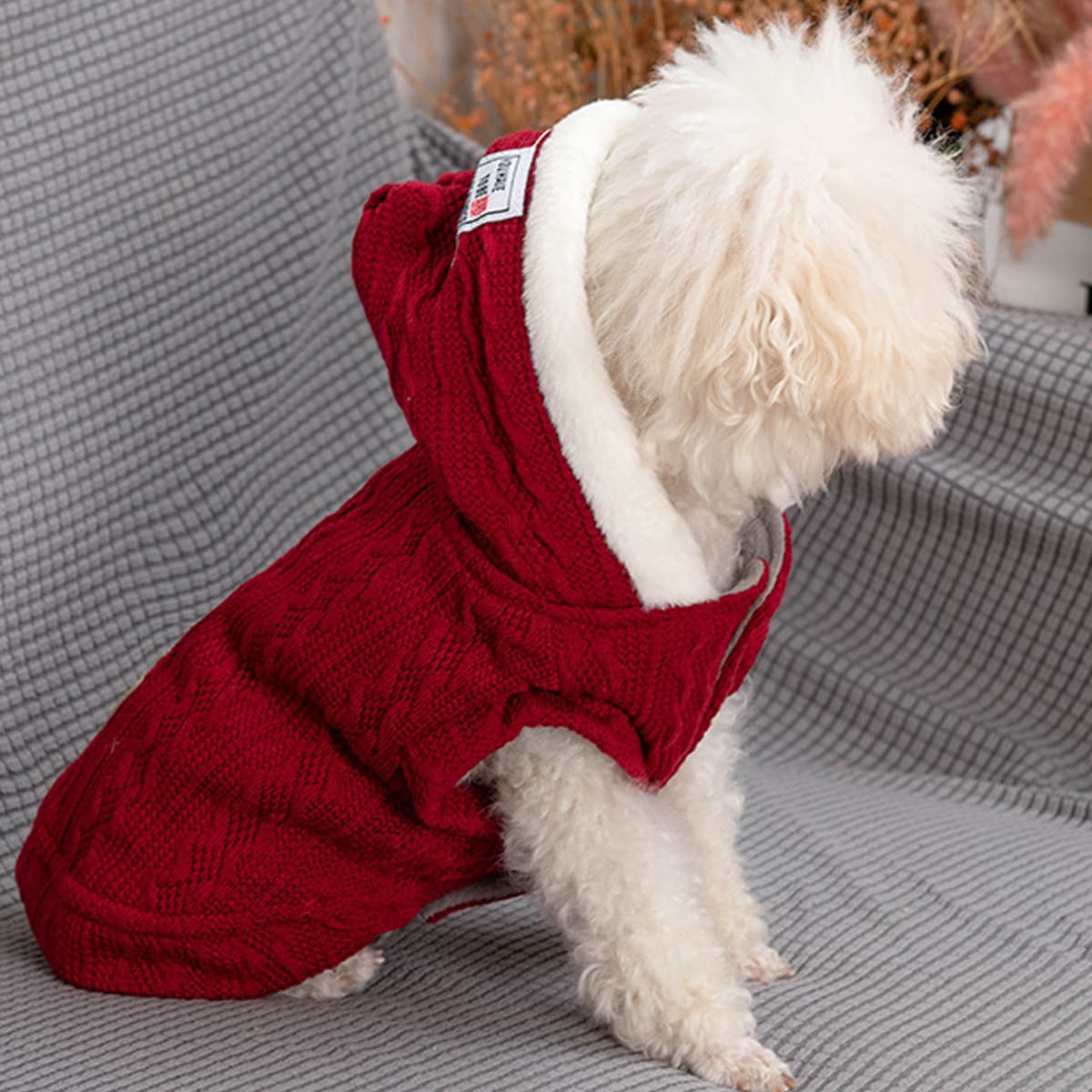 

Hooded Dog Coat, Red