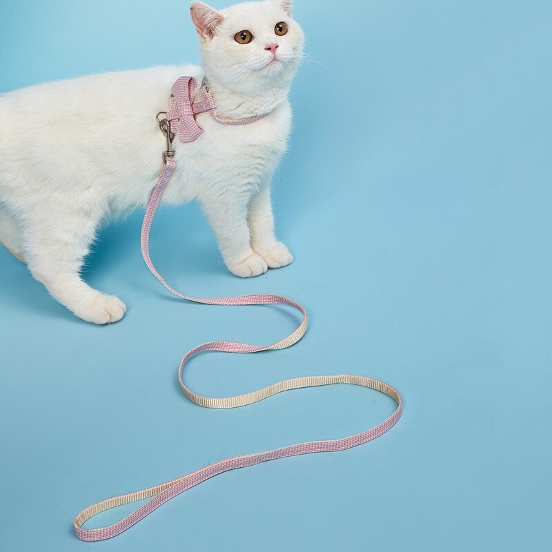 

1pc Bow Decor Cat Harness & 1pc Cat Leash, Pink