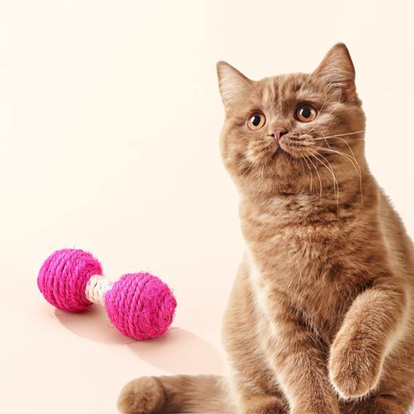 

Dumbbell Shaped Cat Scratching Toy, Pink