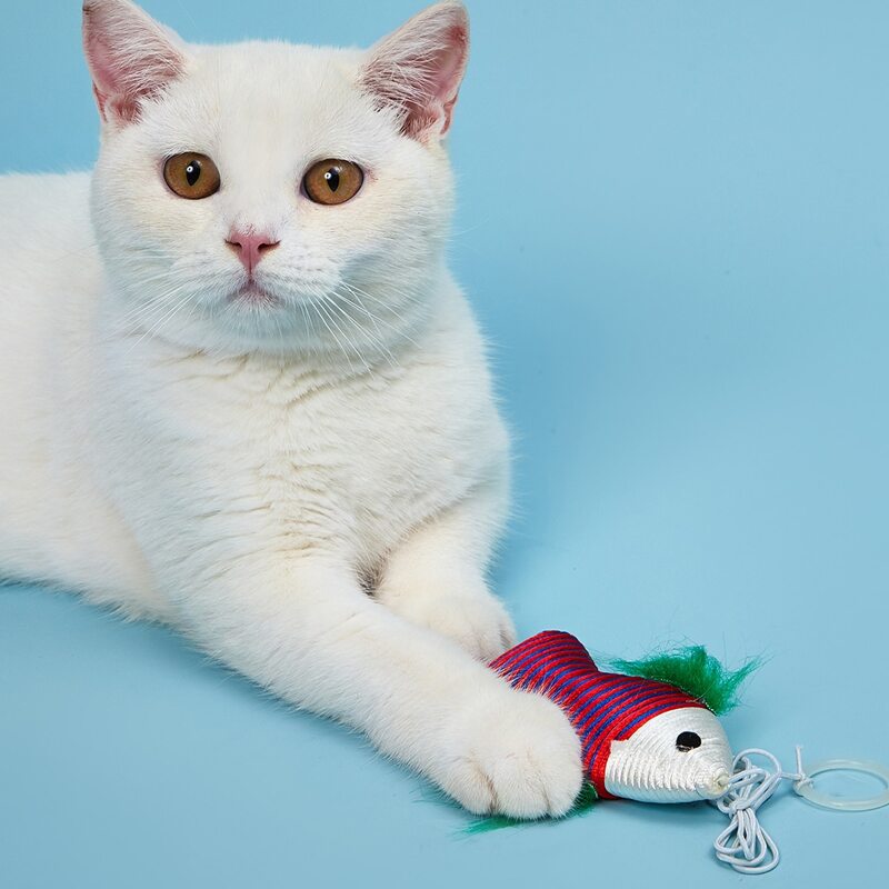 

Fish Shaped Cat Toy, Multicolor