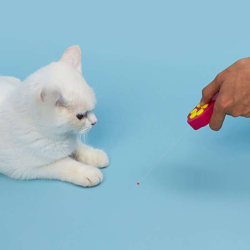 

Paw Print Design Cat Laser Exerciser, Hot pink