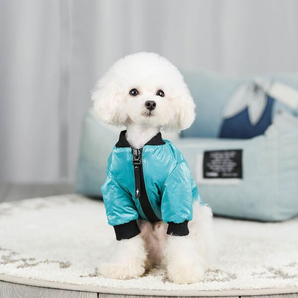 

Zipper Pocket Dog Coat, Mint blue